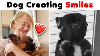 When Dogs Did Things And Melted Everyone&#39;s Hearts 🐶 ▶ 04