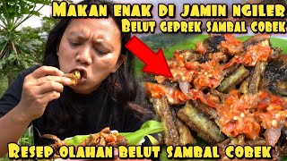 BELUT GEPREK SAMBAL COBEK BIKIN SELERA NAPSU MAKAN BERTAMBAH