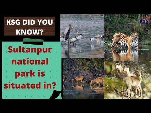 Video: Het Avian Capital-Sultanpur National Park