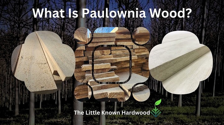 What Is Paulownia Wood?