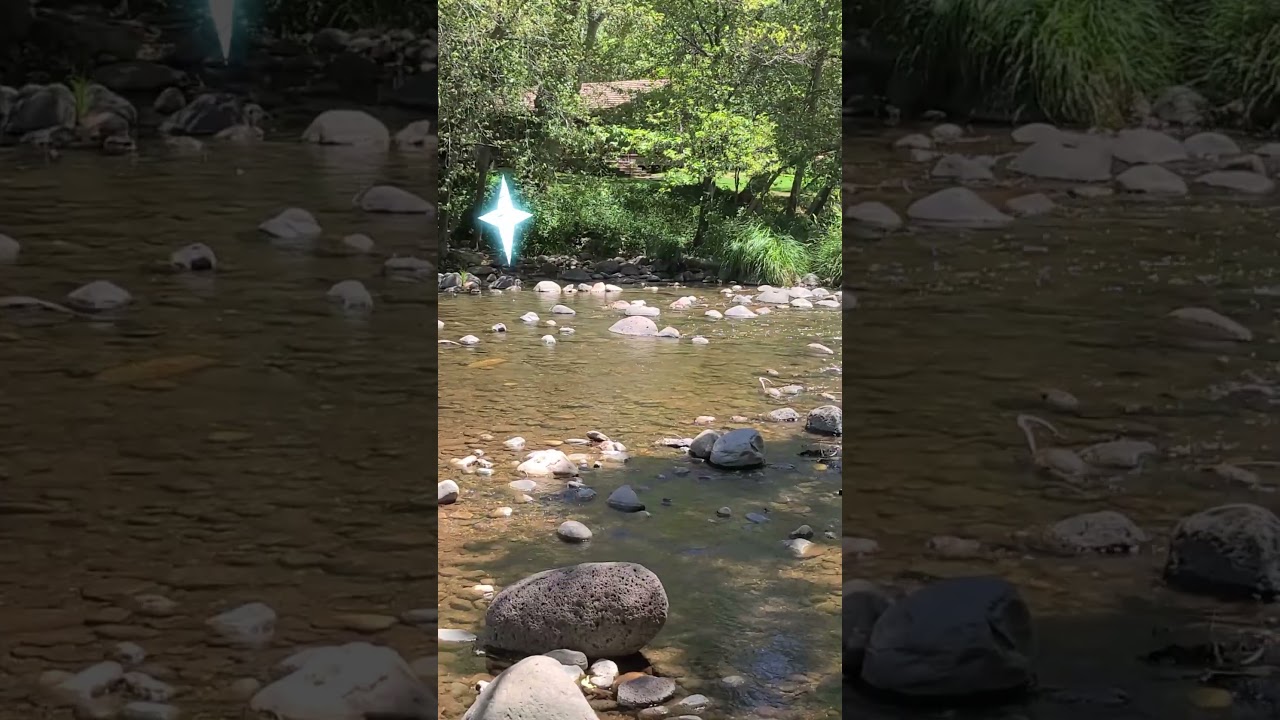 Pause & Breathe: A Serene Moment by the Creek 🌞🌿 With Lightstar