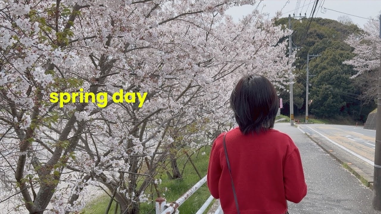 A Spring Day in Dazaifu 🌸 Cherry Blossoms, Cafe & Cozy Moments