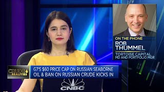 Portfolio manager says he's bullish about oil prices
