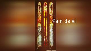 Video thumbnail of "Pain véritable"