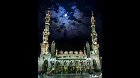 سورة الضحى.. بصوت الشيخ سعد الغامدي..