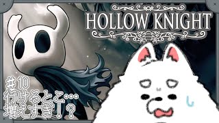 【Hollow Knight】ついに無敵の力を手に入れた！？行きたいところ多すぎ問題！【初見プレイ】