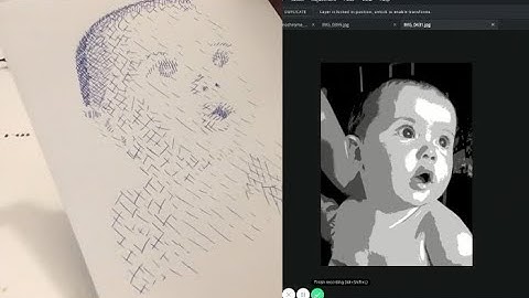 values and line -- posterized portrait