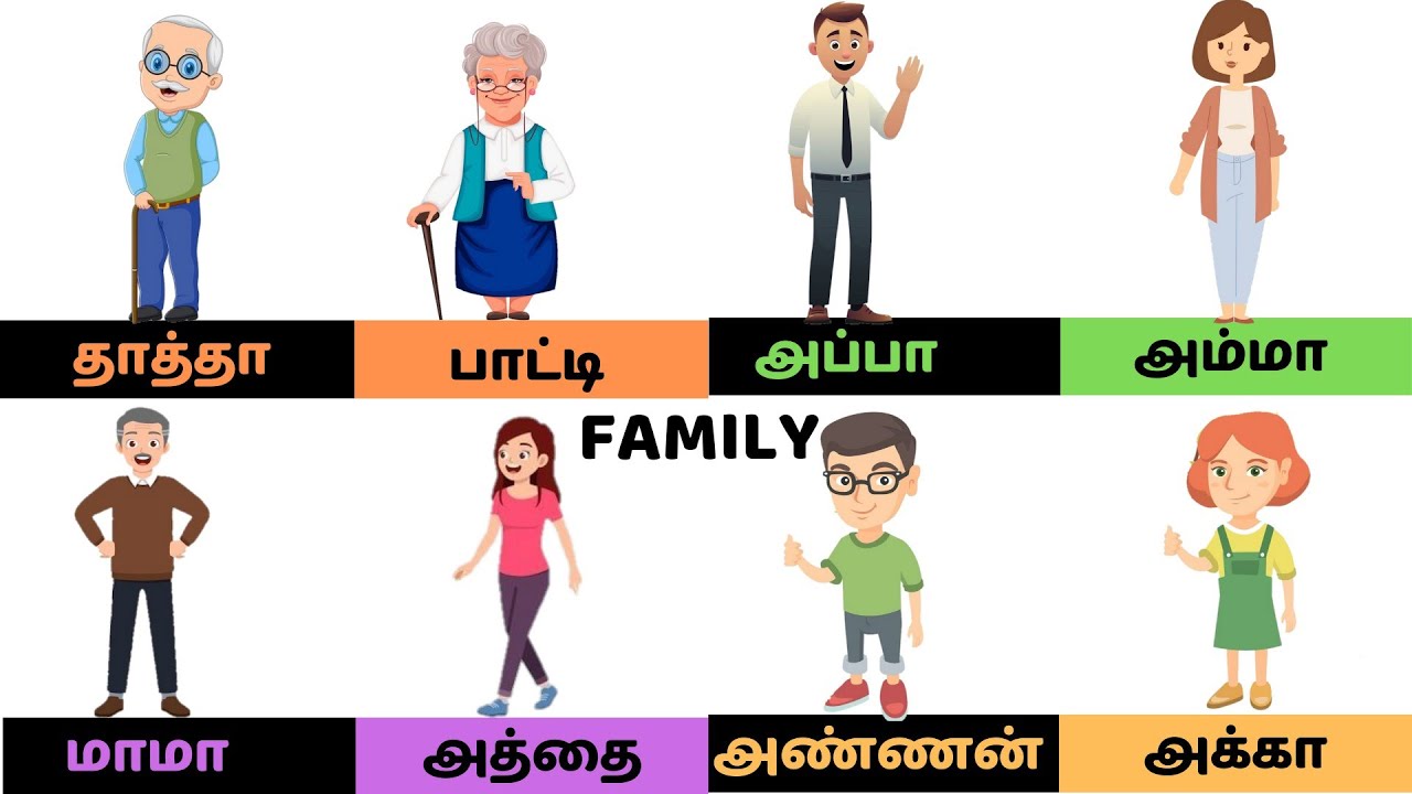 learn family and relations in tamil/ father mother son daughter/ uravugal / kids education