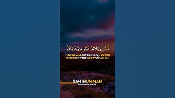 Surah Az Zumar (سورة الزمر) AYAT 53-54 | حمزة بوديب | Hamza Boudib
