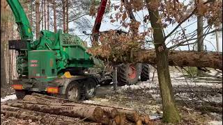 Claas Xerion 5000 - Hem 841 Z - Energieholz Hacken