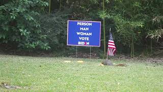 Just a Biden sign and squirrels now