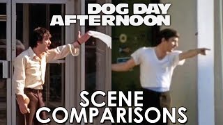 Best of dog day-afternoon-real-footage - Free Watch Download - Todaypk