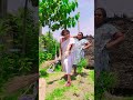 সারাদিন অপমানিত পিসি