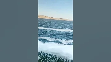 لو حبيبك عسل متخلصوش كله 