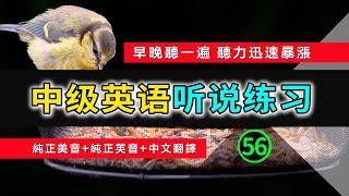 🎧【英语听力迅速提高】中级日常英语听说训练 56 | 英语发音练习 | 英文发音 | 学习英语发音 | 英文短句 | 英语初学者 | 零基础学英文 | 日常英文 | 中文加英文听力训练  | 生活口语
