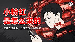 翻牆為何治不好小粉紅？封閉校園圈出零成本表忠、貧困生買10塊咖啡被連盯37天舉報、富二代留學生護共是怕質疑自家錢的來路、鐵拳砸到自己才會醒、醒後真空最危險！從挺共換成反共還是小粉紅