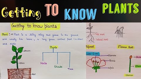 Getting to know plants  class 6 || getting to know plants class 6 notes