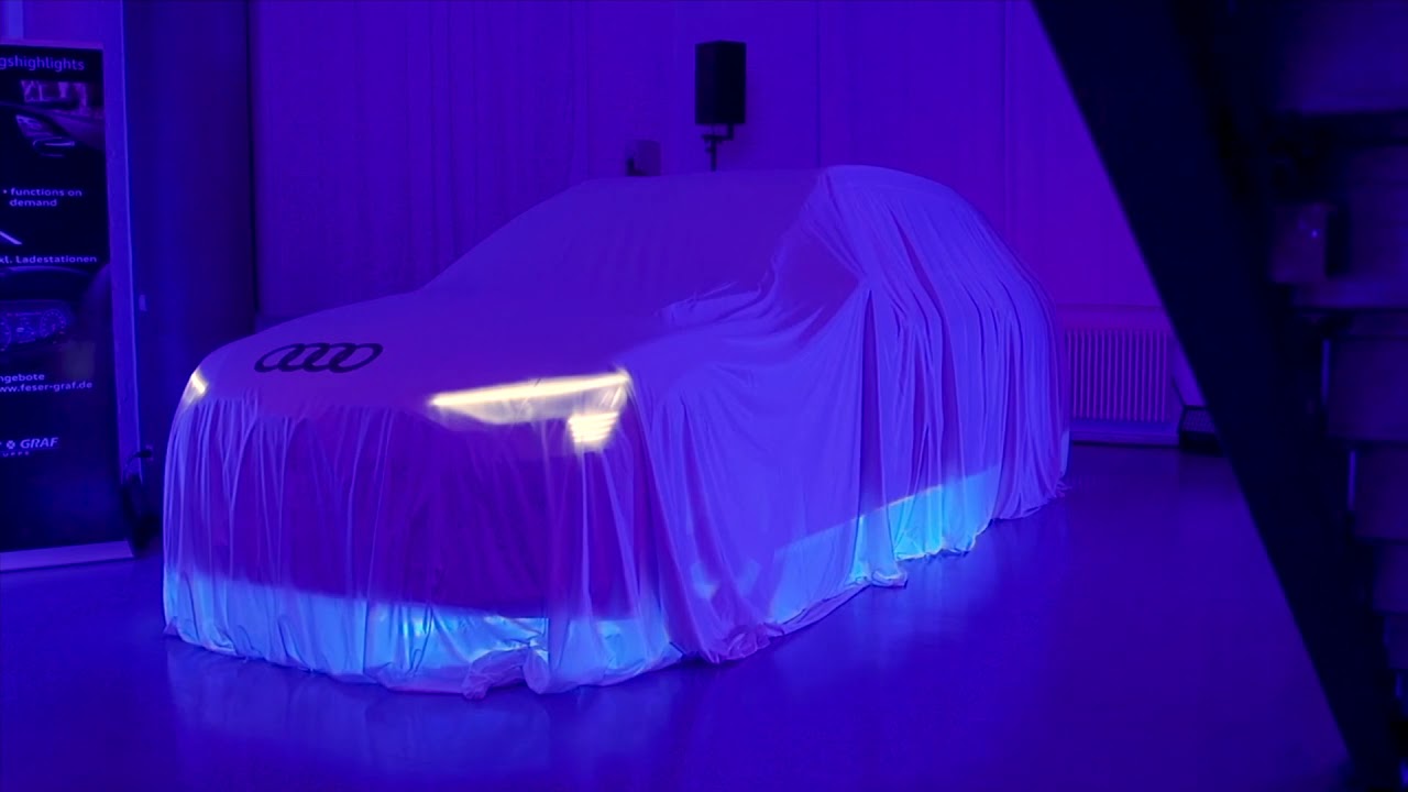 Audi e-tron Markteinführung Feser-Graf Gruppe 21.03.19