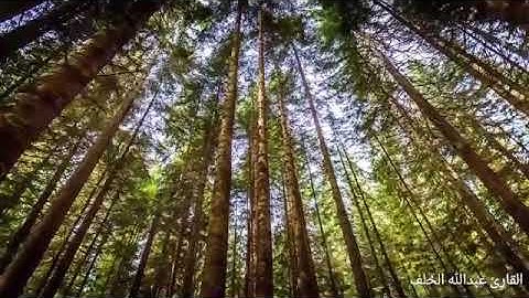 ٤٤- سورة الدخان - بصوت القارئ عبدالله الخلف 1437