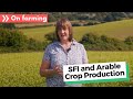 How SFI works hand in hand with arable crop production