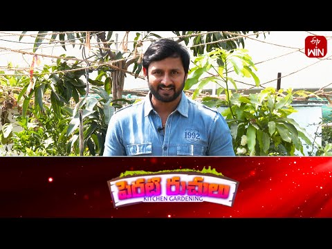 Perati Ruchulu | 3rd May 2024 | Full Episode | ETV Abhiruchi - ETVABHIRUCHI