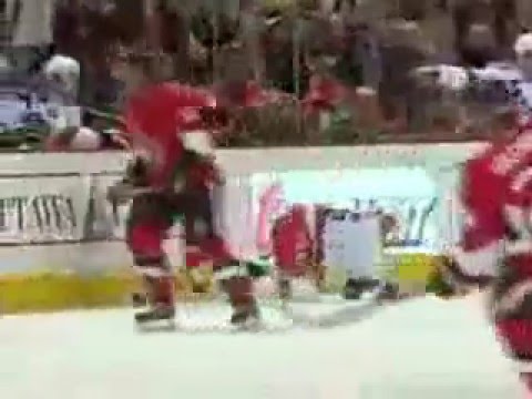 NHL Hockey Goals, Hits, Fight