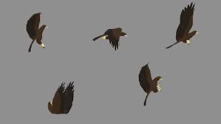 Pixel Art Animated Eagle Preview