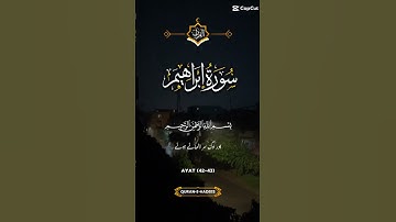 Surah Ibrahim (سورة إبراهيم) Ayat 42-43 | Do Not Think Allah Is Unaware | Quran Reminder