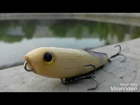 Lure wtd Clearance