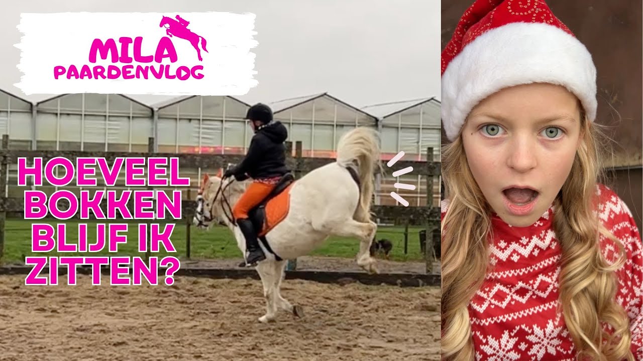 BOKKEN en bokken... hoelang hou ik dit vol?! en kerstfilmpjes maken
