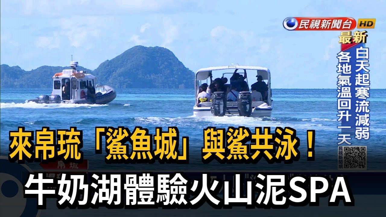 帛琉「鯊魚城」與鯊共泳！ 牛奶湖體驗火山泥SPA－民視新聞