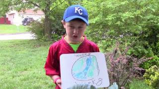 Project Cabbage: Week 8 {Earth Day Special Edition}