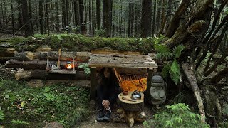 Build survival BUNKER in the Wild | Overnight bushcraft camp alone | Outdoor cooking