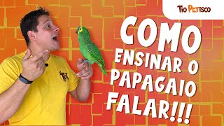Como ensinar papagaio falar - YouTube
