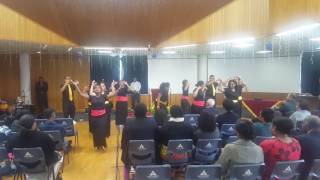 Safaog Youth