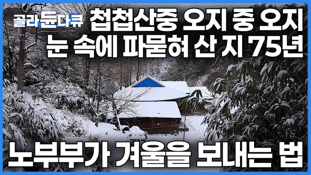 눈 내리면 갈 수 있는 곳이라고는 기껏해봐야 부엌과 안방 뿐｜일반인에게 잘 알려지지 않은 설국 루트｜강원도 첩첩산중 오지 중 오지 눈 속에 파묻혀 산지 75년｜한국기행｜#골라듄다큐
