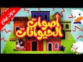 أصوات الحيوانات (بدون إيقاع) - طيور بيبي Toyor Baby