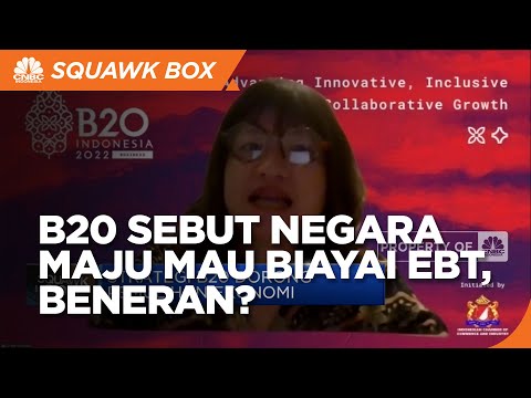 B20 Sebut Negara Maju Mau Biayai EBT, Realisasinya Bagaimana?