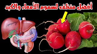إزالة السموم من الأمعاء والكبد بوصفة الفجل الأحمر -  أفضل منظف لسموم الأمعاء والكبد