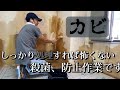 カビ処理編　頑固なカビも、しっかり処理してから壁紙を貼りましょう！おまけのたまちゃんチャレンジもみてくださいね！
