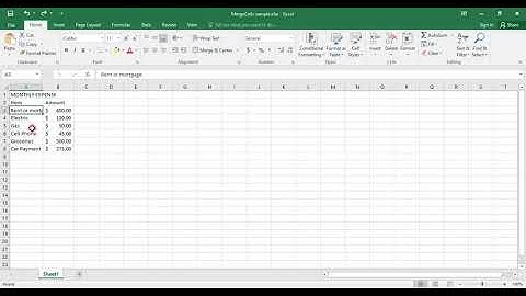Excel 2 Segment 3 Wrap Text and Merge Cells