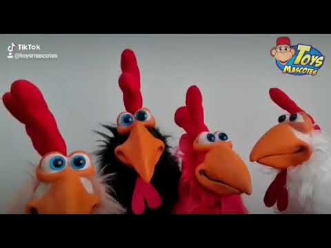 Já é Natal! Galo Miguel!!!