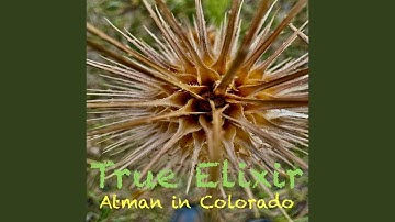 Unlearning the Wrong Learning