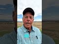 The Truth About Timing the Market