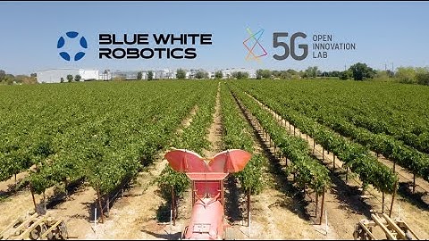 Video Premier - Beyond What