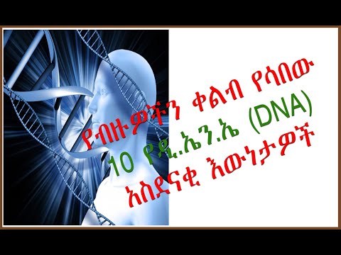 ቪዲዮ: የዲ ኤን ኤ እና አር ኤን ኤ ሞኖሜር ክፍል ምንድን ነው?