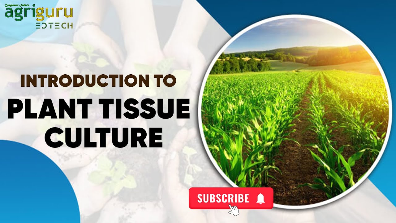 Introduction to Plant Tissue Culture|KPSC|Agricultural Exams|Agricultural Officer|Farm Assistant|