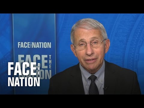 Fauci says its too soon to tell whether Americans should avoid gathering for Christmas