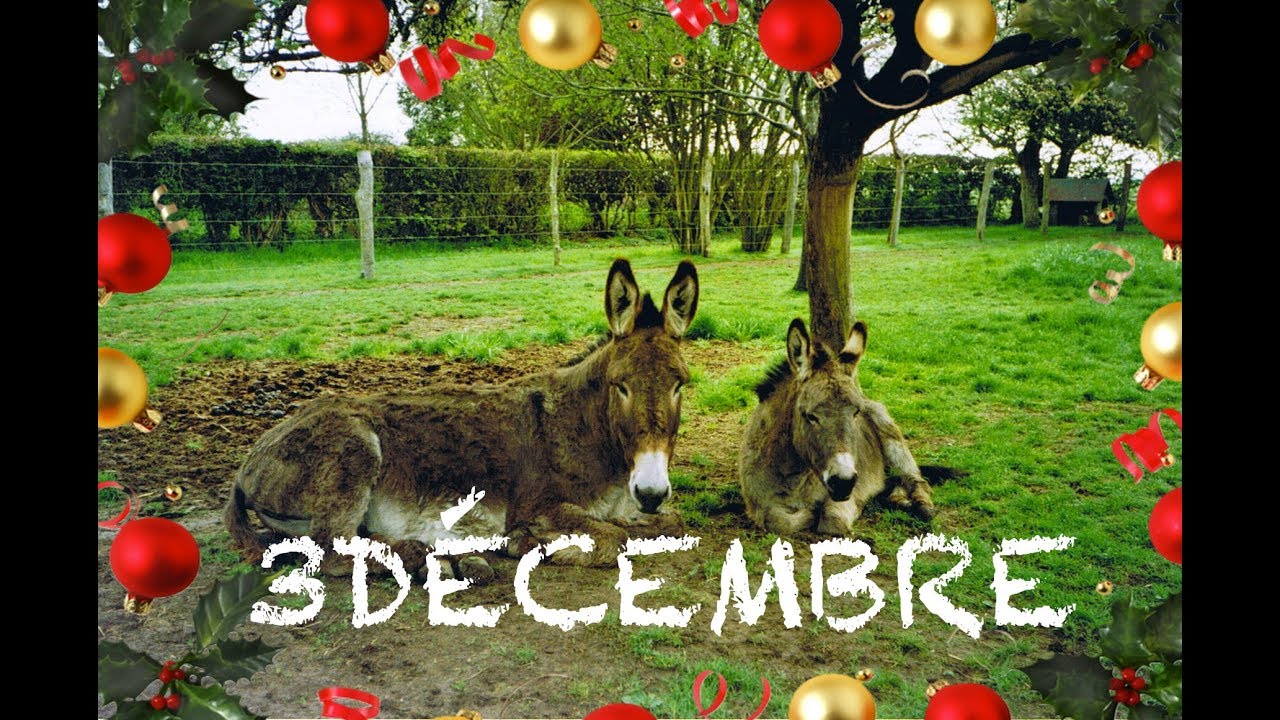 3 décembre Vie de rêve YouTube 3 décembre Vie de rêve YouTube