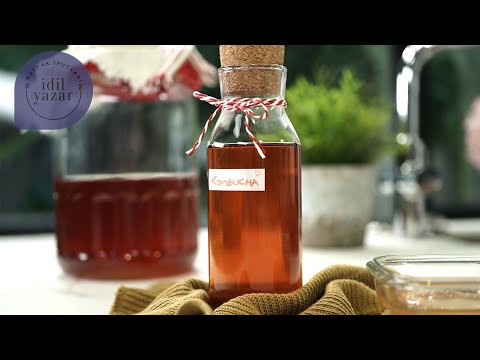 Video: Kombucha Nasıl Edinilir